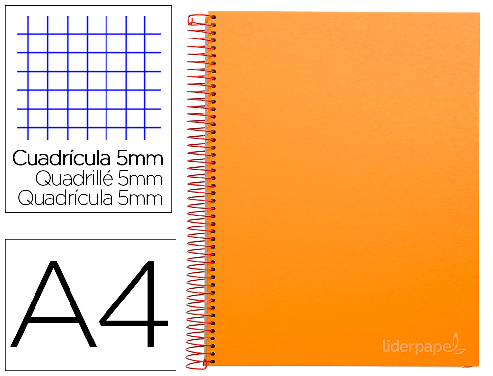 CADERNO ESPIRAL LIDERPAPEL JOLLY MICRO DIN A4 CAPA FORRADA 140 F 75 GR QUADRICULA 5MM 5 BANDAS DE CORES 4 FUROS COR LARA