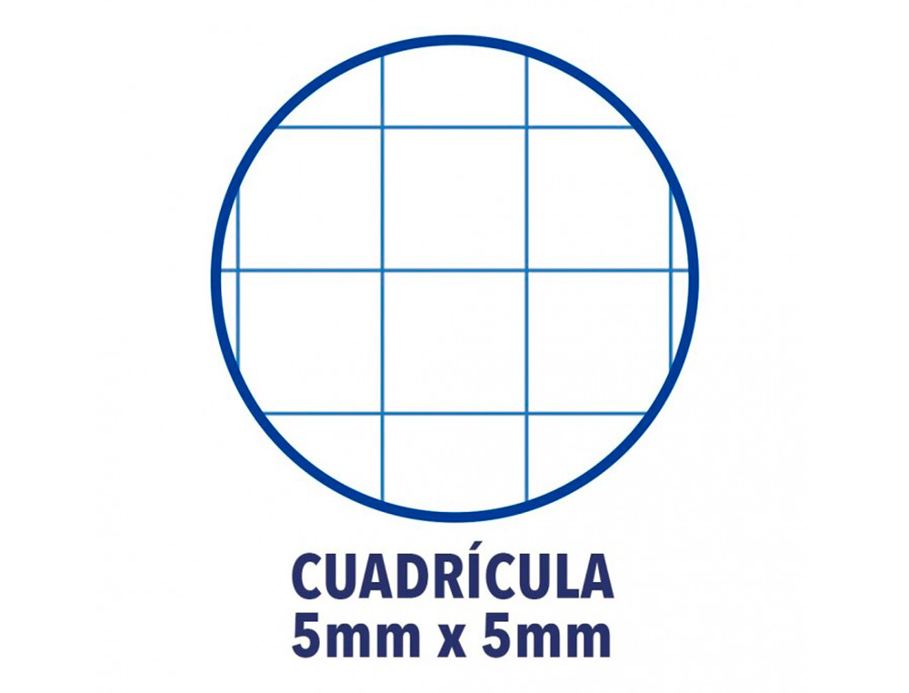 RECARGA COR 1 OXFORD DIN A4+ 80 FOLHAS 90 GR QUADRICULA 5 MM 4 FUROS COR TURQUESA