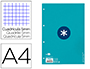 RECARGA A4 ANTARTIK 80 FOLHAS 90G/M2 QUADRICULA 5MM 4 FUROS 1 BANDA COM MOLDURA COR TURQUESA