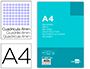 RECARGA LIDERPAPEL FOLIO 100 FOLHAS 80 GR QUADRICULADO 4 MM 16 FUROS COM MARGEM FSC-MISTO FSC-STD-40