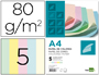 PAPEL DE COR LIDERPAPEL DIN A4 80 GR EMBALAGEM DE 500, 100 FOLHAS POR CORES SORTIDAS
